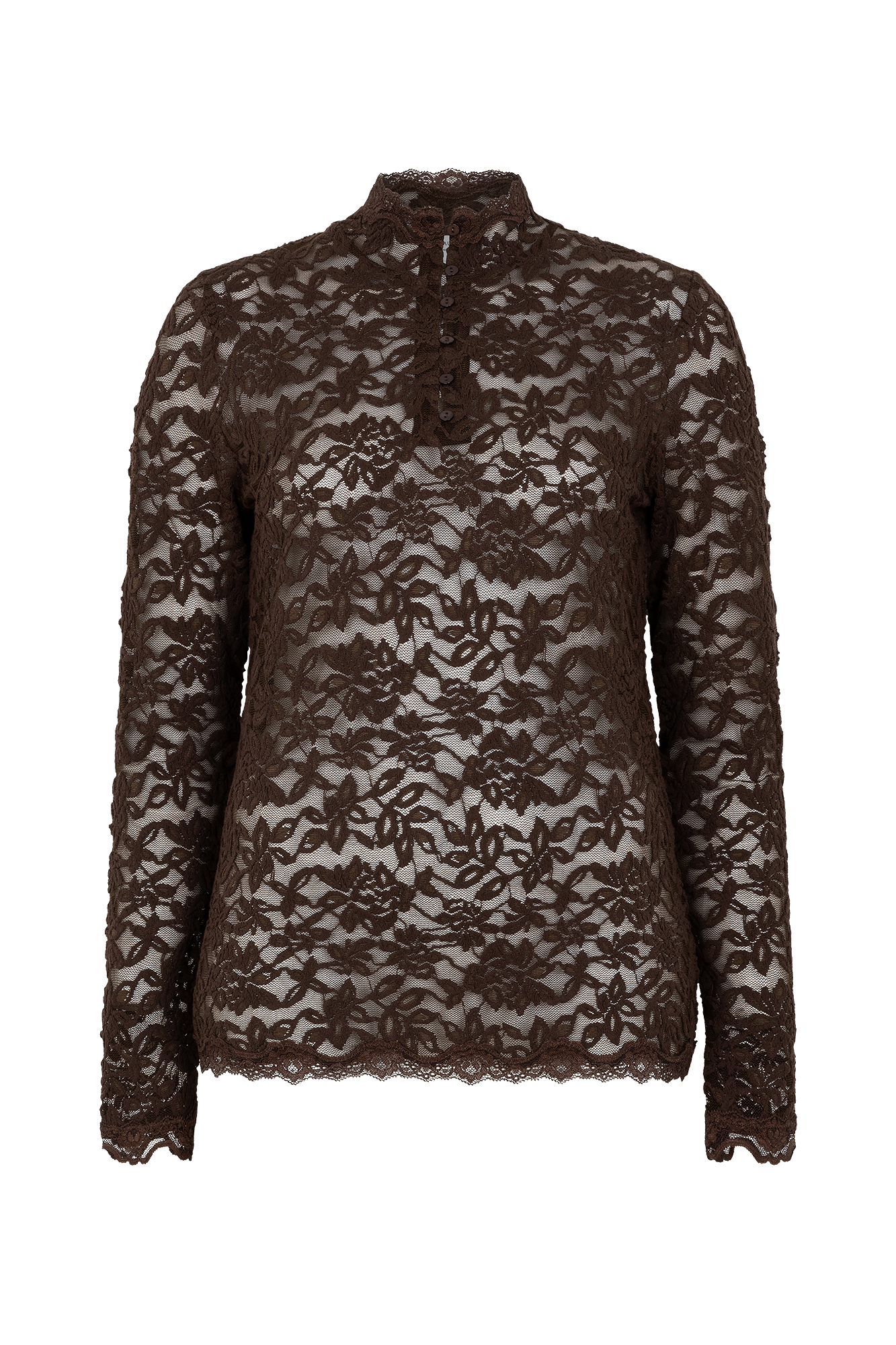 Delicia Turtle Neck Top Bruin