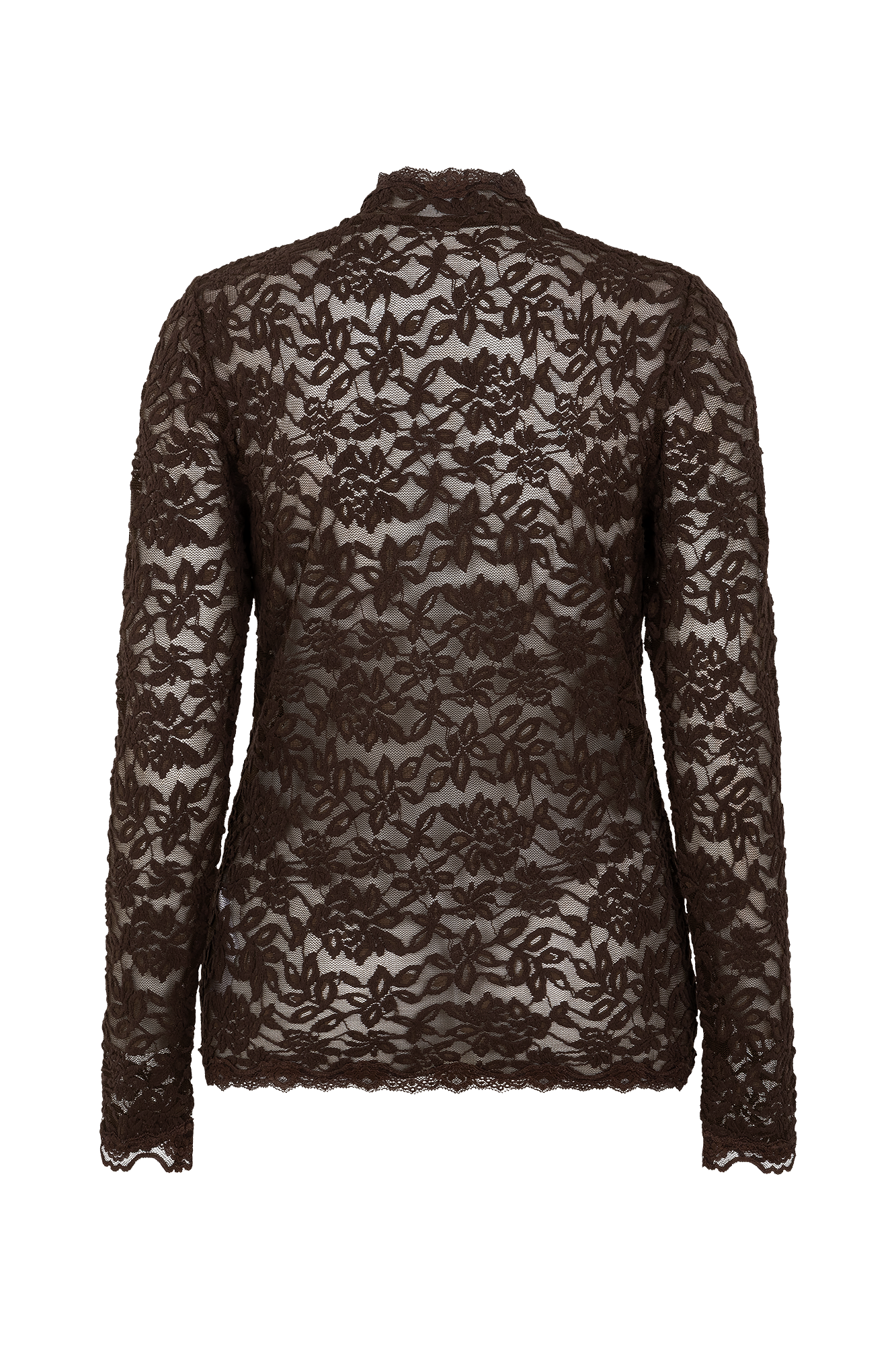 Delicia Turtle Neck Top Bruin