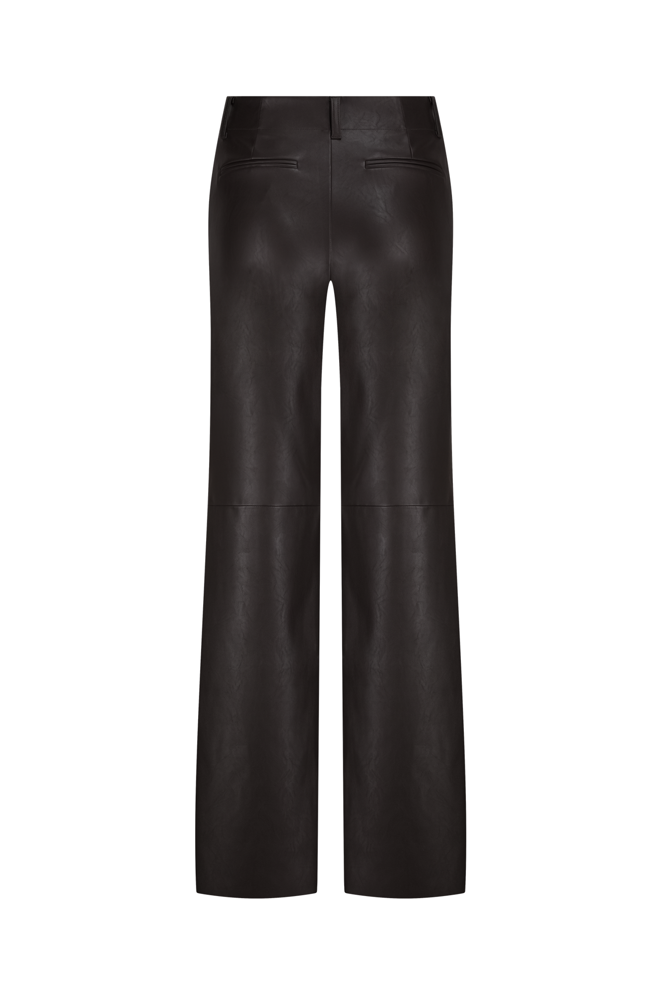 Naomi Hose Braun