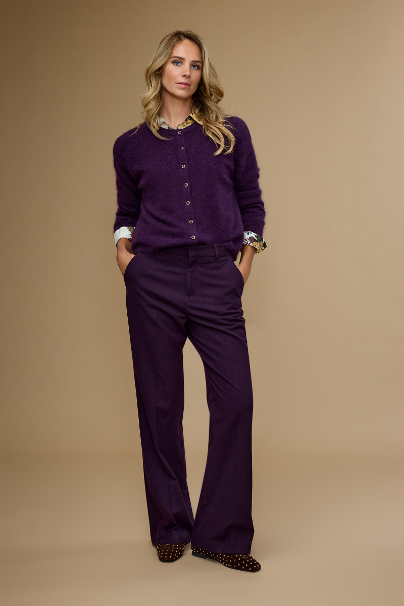 Evy Broek Paars